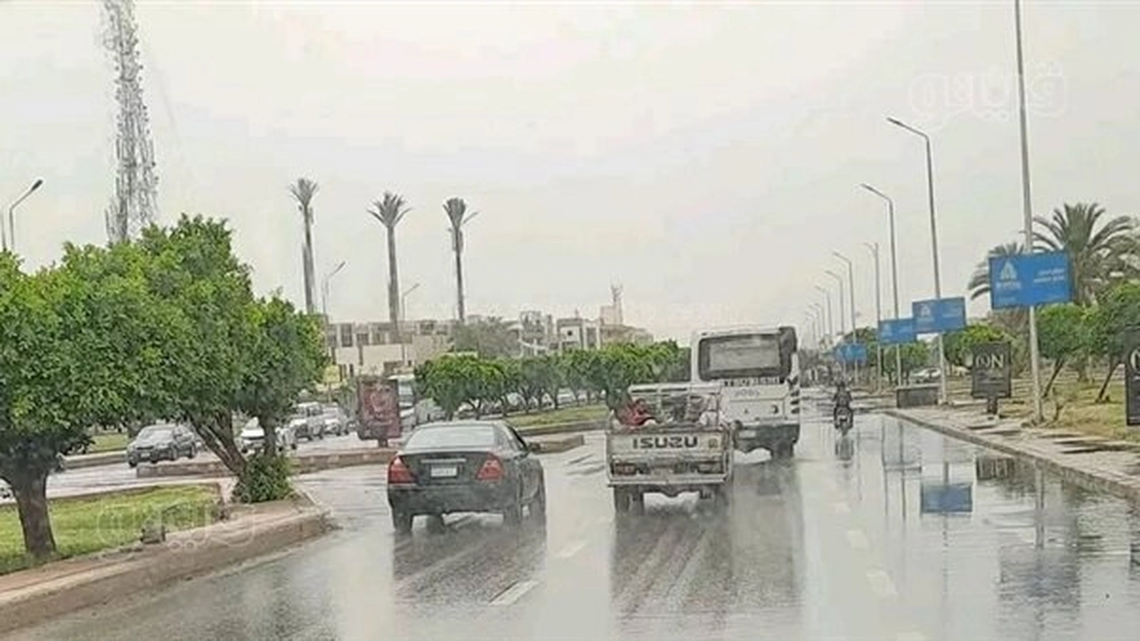 انخفاض حدة الأمطار ونشاط الرياح المثيرة للأتربة بمحافظات مصر اليوم الخميس